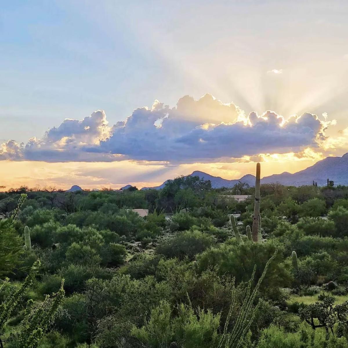 Luxury 3Bd 2Ba Home Near Tucson With Desert Views - Low Summer Rates! Oro Valley Extérieur photo