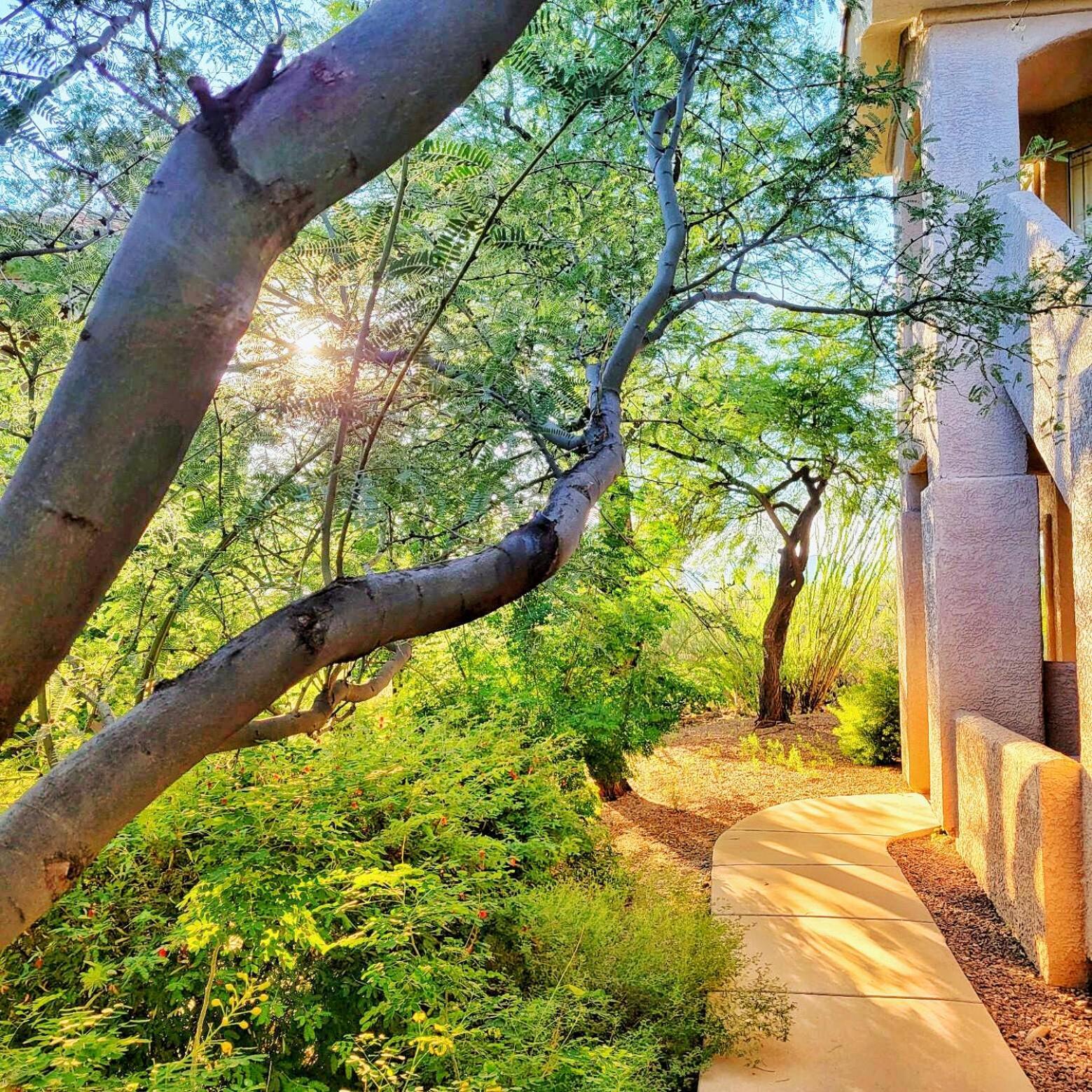 Luxury 3Bd 2Ba Home Near Tucson With Desert Views - Low Summer Rates! Oro Valley Extérieur photo