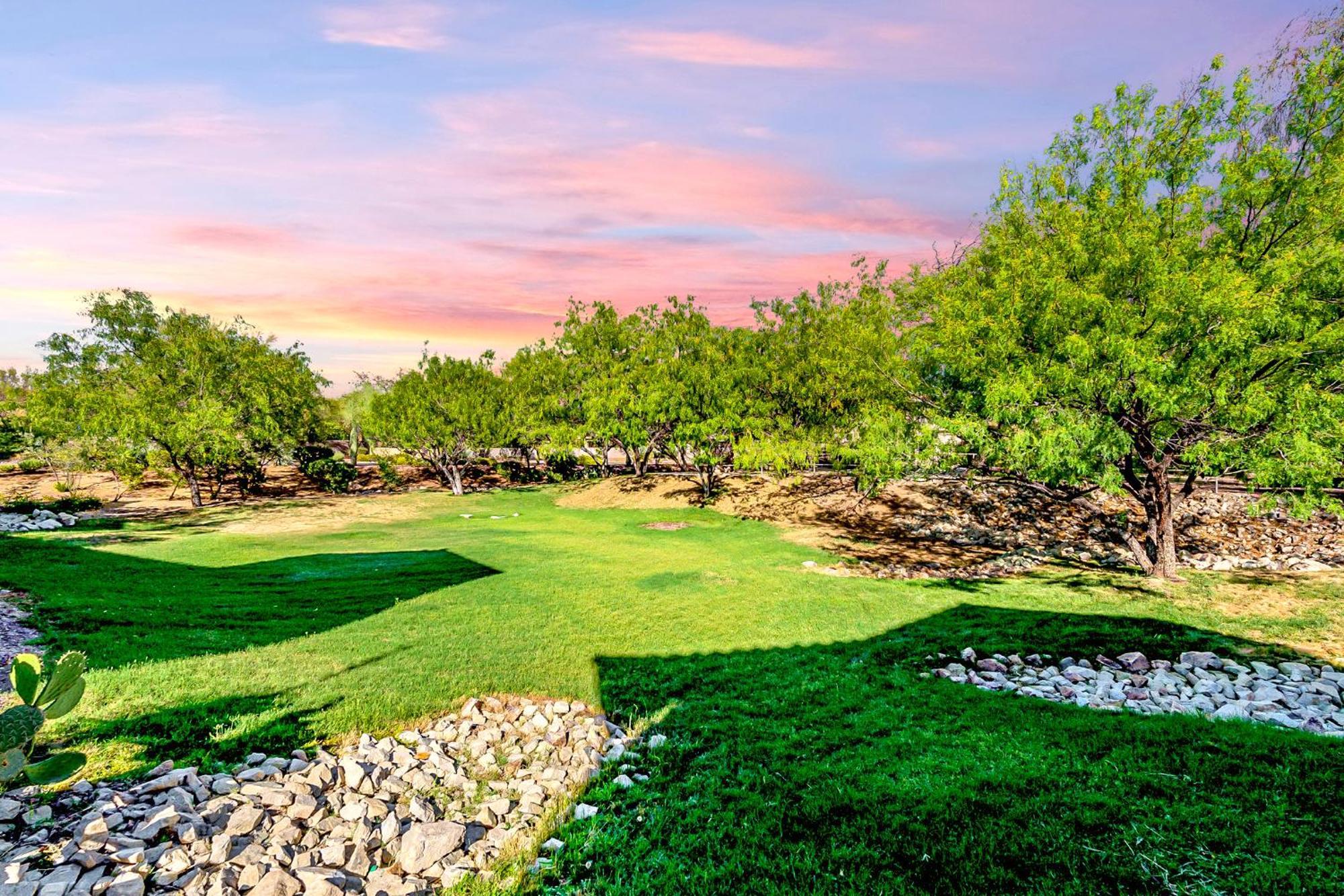 Luxury 3Bd 2Ba Home Near Tucson With Desert Views - Low Summer Rates! Oro Valley Extérieur photo